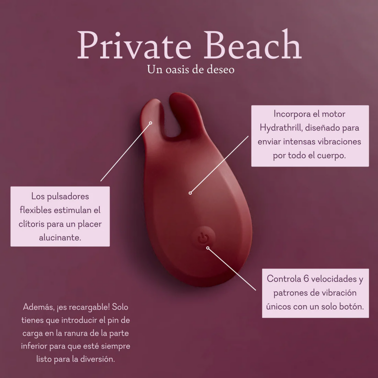 Private Beach (31) - Fiestas by Nana, LLC